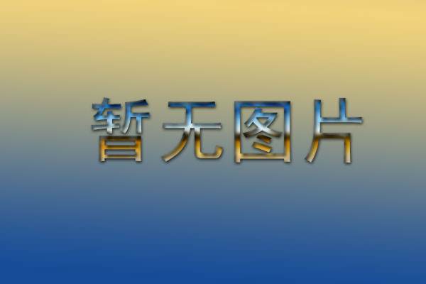 习近平会见2019年度驻外使节工作会议与会使节